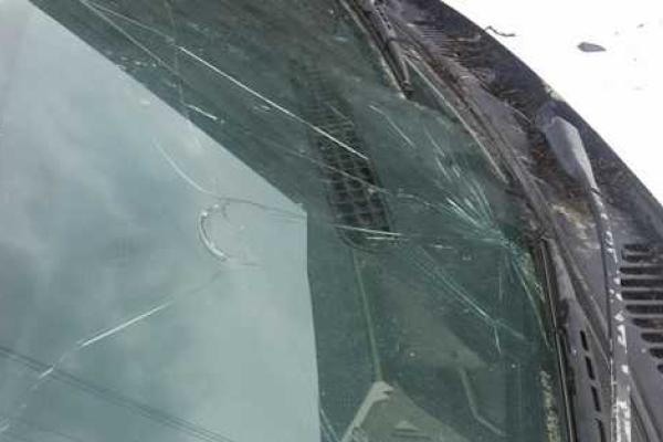 Град размером с куриное яйцо наделал бед на Закарпатье