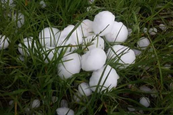 Град размером с куриное яйцо наделал бед на Закарпатье