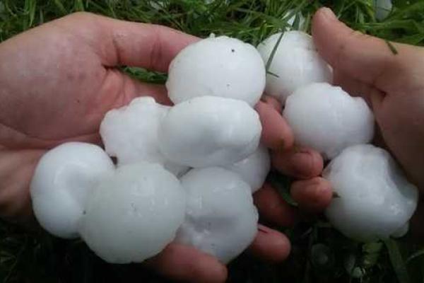 Град размером с куриное яйцо наделал бед на Закарпатье