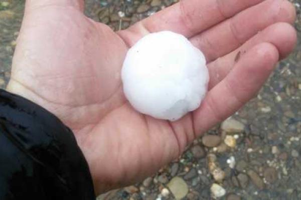 Град размером с куриное яйцо наделал бед на Закарпатье