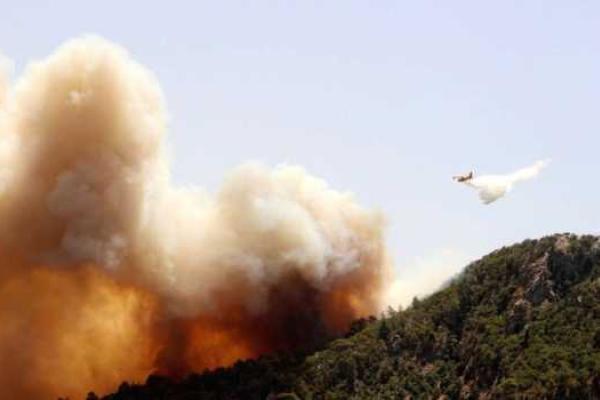В Турции из-за лесных пожаров с нескольких курортов эвакуируют туристов