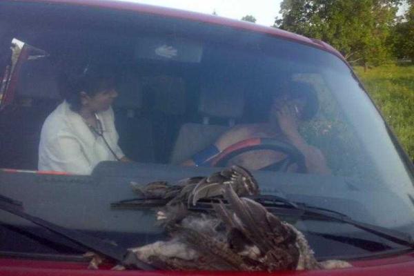 На Полтавщине пьяный чиновник сел за руль, задавил индюка и избил трех местных жителей На Полтавщине пьяный чиновник сел за руль, задавил индюка и избил трех местных жителей