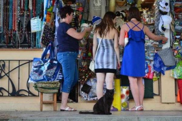 Лето в разгаре, а в Ялте все еще "не сезон" Лето в разгаре, а в Ялте все еще "не сезон"