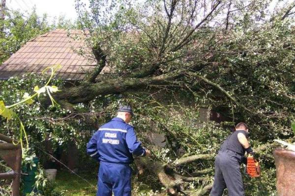 На Прикарпатье бушует непогода: повалены деревья, обесточены населенные пункты На Прикарпатье бушует непогода: повалены деревья, обесточены населенные пункты