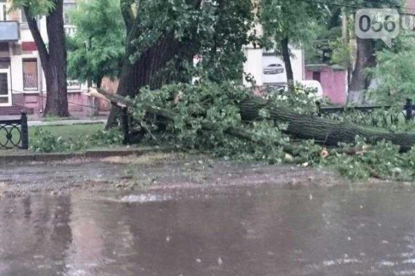 В Днепре хозяйничала непогода: затоплены улицы, повалены деревья, дороги превратились в реки