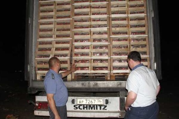 В Краснодарском крае под бульдозер пустили 40 тонн украинской клубники В Краснодарском крае под бульдозер пустили 40 тонн украинской клубники