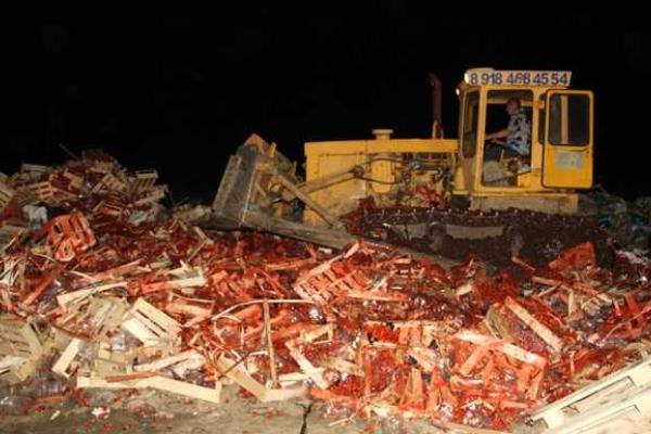 В Краснодарском крае под бульдозер пустили 40 тонн украинской клубники В Краснодарском крае под бульдозер пустили 40 тонн украинской клубники