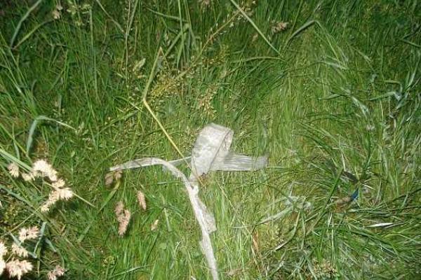 Киевлянку похитил, жестоко избил и изнасиловал бывший кавалер