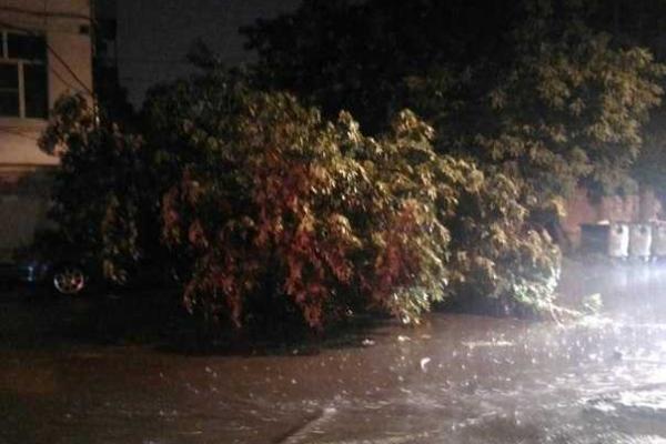 "Сюрпризы" природы: на город Ростов-на-Дону обрушился мощный ливень "Сюрпризы" природы: на город Ростов-на-Дону обрушился мощный ливень