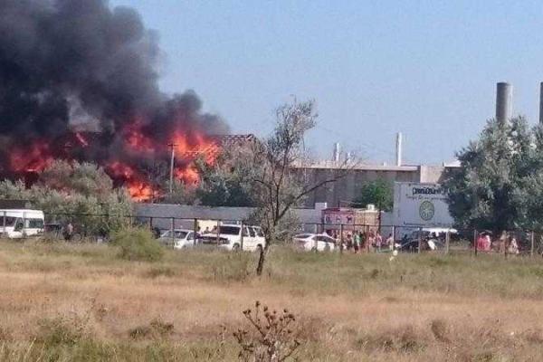 В Крыму сгорело здание, где проходил легендарный фестиваль "КаZZантип" В Крыму сгорело здание, где проходил легендарный фестиваль "КаZZантип"