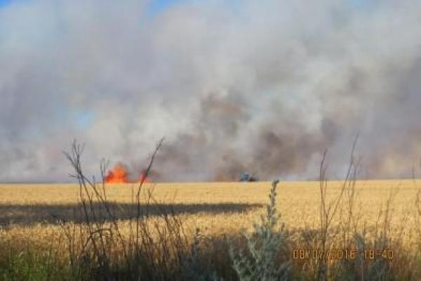 Под Мариуполем поля пшеницы охватил огонь Под Мариуполем поля пшеницы охватил огонь
