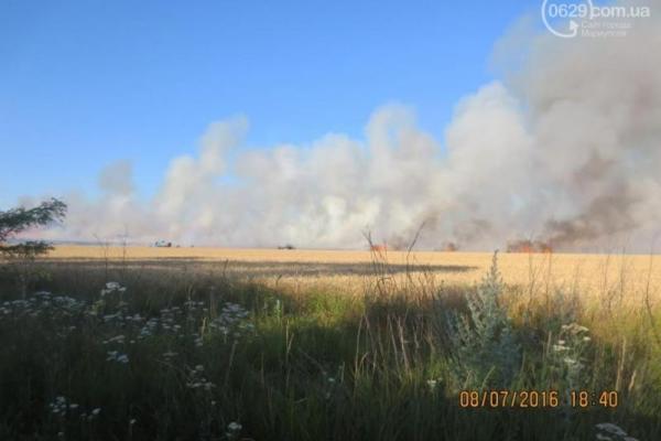 Под Мариуполем поля пшеницы охватил огонь Под Мариуполем поля пшеницы охватил огонь