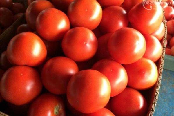 Тайна подорожания помидоров в Мариуполе раскрыта Тайна подорожания помидоров в Мариуполе раскрыта