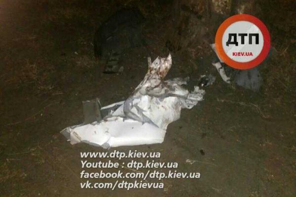 Под Киевом "Lexus" влетел в дерево: девушки-пассажирки попали в реанимацию Под Киевом "Lexus" влетел в дерево: девушки-пассажирки попали в реанимацию