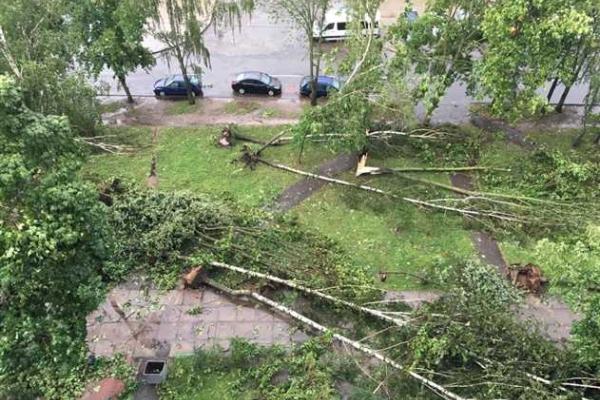 В столице Беларуси разразилась сумасшедшая гроза: мощный ливень и шквальный ветер