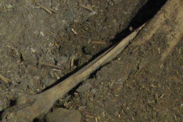 На Закарпатье задержан мужчина, убивший двух своих сожительниц