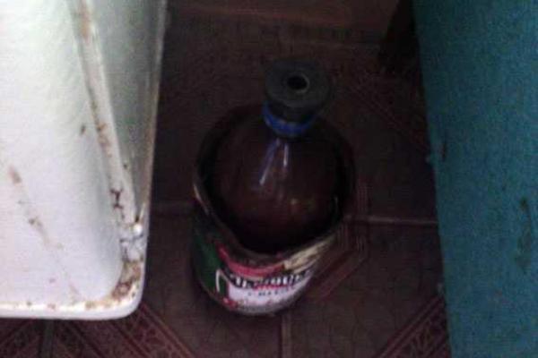 В Краматорске полиция обнаружила плантацию конопли во дворе частного дома В Краматорске полиция обнаружила плантацию конопли во дворе частного дома