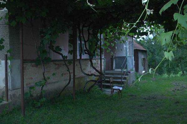 На Закарпатье задержан мужчина, убивший двух своих сожительниц