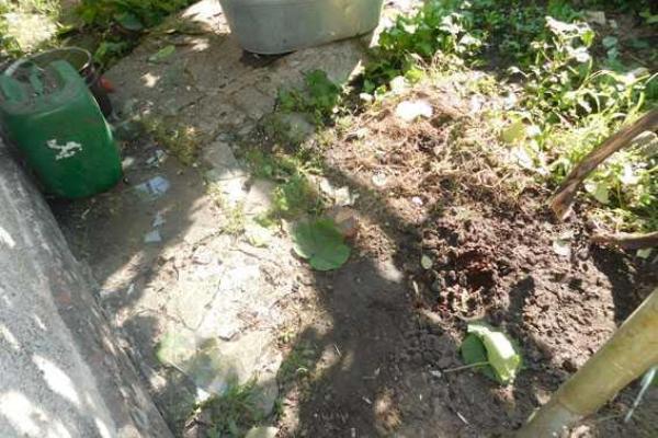 На Донетчине пьяный участник ссоры метнул в оппонента боевую гранату На Донетчине пьяный участник ссоры метнул в оппонента боевую гранату