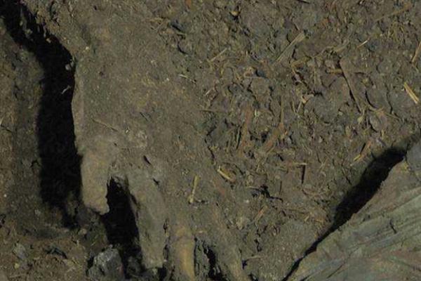 На Закарпатье задержан мужчина, убивший двух своих сожительниц