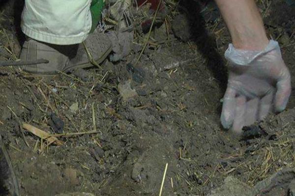 На Закарпатье задержан мужчина, убивший двух своих сожительниц