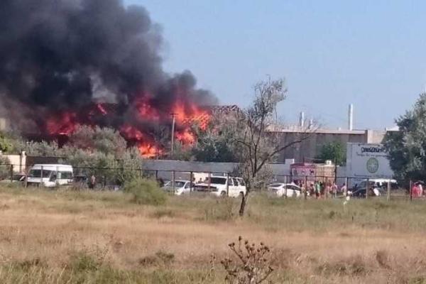 В Крыму сгорело здание, где проходил легендарный фестиваль "КаZZантип" В Крыму сгорело здание, где проходил легендарный фестиваль "КаZZантип"