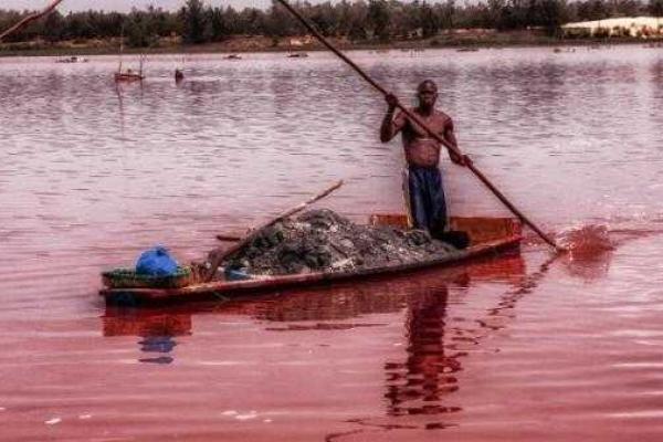 В Сенегале расположено озеро с водой необычного розового цвета В Сенегале расположено озеро с водой необычного розового цвета