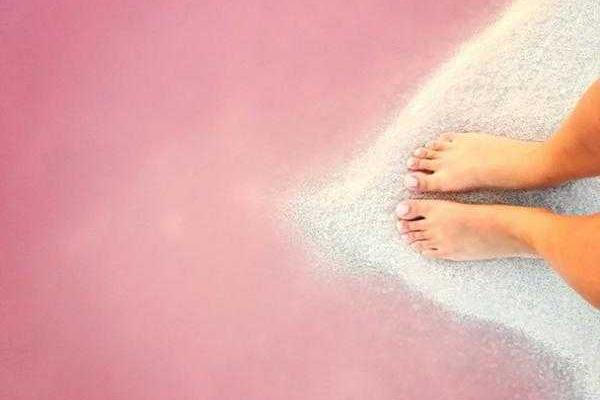 В сети появились снимки уникальной розовой лагуны, расположенной в Мексике В сети появились снимки уникальной розовой лагуны, расположенной в Мексике