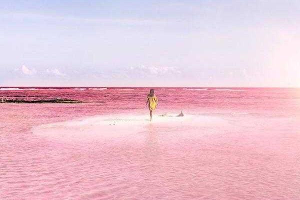 В сети появились снимки уникальной розовой лагуны, расположенной в Мексике В сети появились снимки уникальной розовой лагуны, расположенной в Мексике