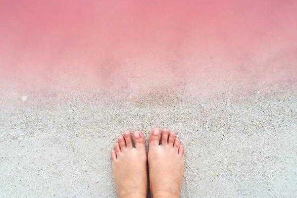 В сети появились снимки уникальной розовой лагуны, расположенной в Мексике В сети появились снимки уникальной розовой лагуны, расположенной в Мексике