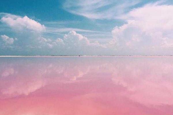 В сети появились снимки уникальной розовой лагуны, расположенной в Мексике В сети появились снимки уникальной розовой лагуны, расположенной в Мексике