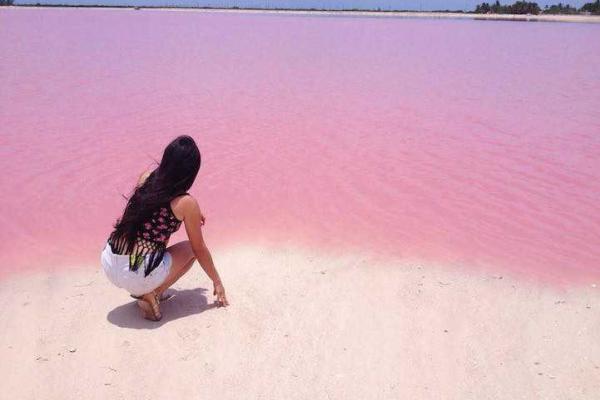 В сети появились снимки уникальной розовой лагуны, расположенной в Мексике В сети появились снимки уникальной розовой лагуны, расположенной в Мексике
