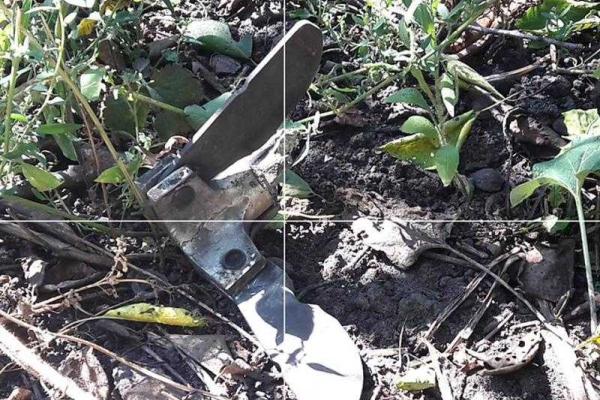 Боевики обстреляли Красногоровку из артиллерии и танков
