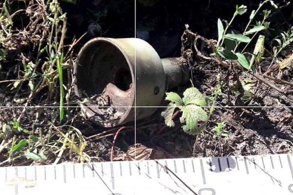 Боевики обстреляли Красногоровку из артиллерии и танков