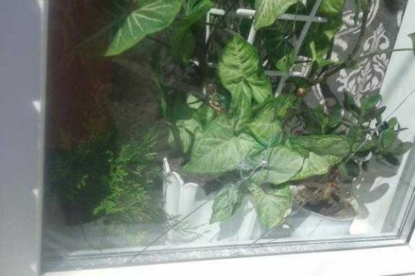 Обстрел Ясиноватой: сводка разрушений после ночного боя