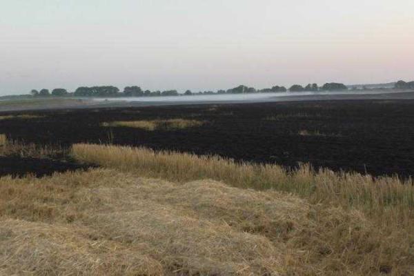 На Черниговщине продолжается ликвидация последствий пожара на торфянике На Черниговщине продолжается ликвидация последствий пожара на торфянике