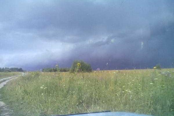 В Днепре бушевала непогода: ветер срывал крыши, валил деревья и столбы