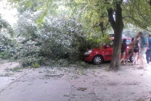 В Днепре бушевала непогода: ветер срывал крыши, валил деревья и столбы