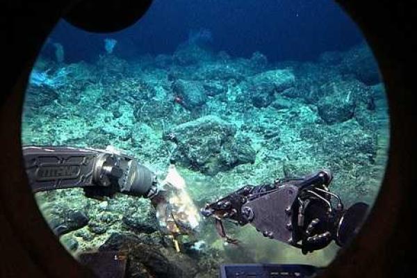 Вблизи Гавайских островов исследователи в глубоководном вулкане обнаружили неизвестных науке животных