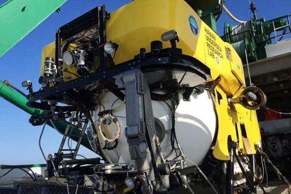 Вблизи Гавайских островов исследователи в глубоководном вулкане обнаружили неизвестных науке животных