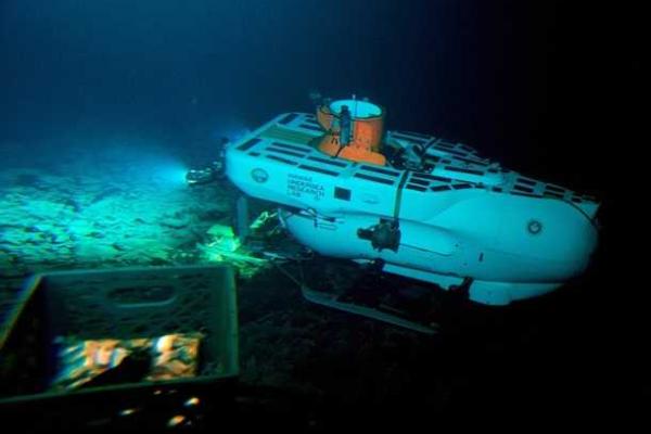 Вблизи Гавайских островов исследователи в глубоководном вулкане обнаружили неизвестных науке животных