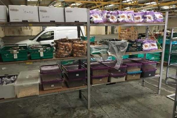 Британские активисты открыли первый супермаркет для бедных с продуктами с помоек Британские активисты открыли первый супермаркет для бедных с продуктами с помоек