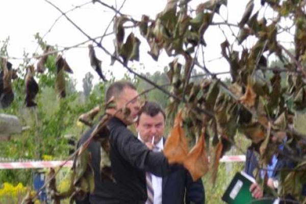 На Киевщине убили директора предприятия "Caparol" в Украине На Киевщине убили директора предприятия "Caparol" в Украине