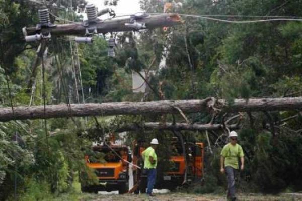 В штате Флорида бушует мощный ураган Эрмина В штате Флорида бушует мощный ураган Эрмина