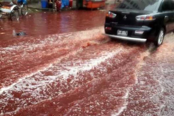 В столице Бангладеш после массового забоя животных по улицам города бегут кровавые реки В столице Бангладеш после массового забоя животных по улицам города бегут кровавые реки