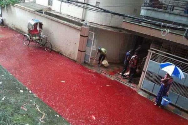 В столице Бангладеш после массового забоя животных по улицам города бегут кровавые реки В столице Бангладеш после массового забоя животных по улицам города бегут кровавые реки