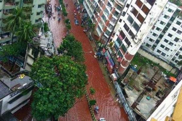 В столице Бангладеш после массового забоя животных по улицам города бегут кровавые реки В столице Бангладеш после массового забоя животных по улицам города бегут кровавые реки