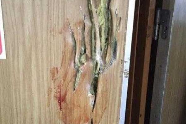 В сети появились кадры спецоперации по освобождения заложников на турецком судне В сети появились кадры спецоперации по освобождения заложников на турецком судне