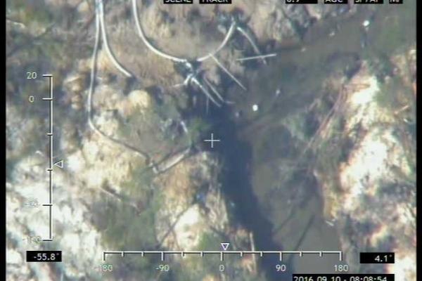 На Ровенщине пограничная авиация зафиксировала новые места незаконной добычи янтаря