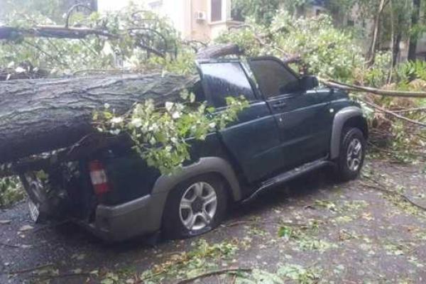 В Одесской области из-за непогоды объявлено чрезвычайное положение: людям советуют не покидать дома В Одесской области из-за непогоды объявлено чрезвычайное положение: людям советуют не покидать дома